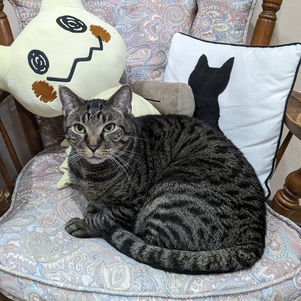 Porkchop Miró